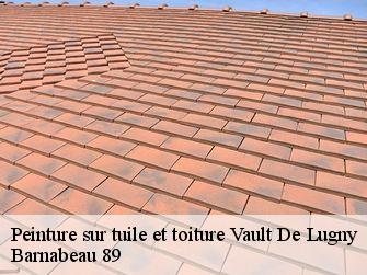 Peinture sur tuile et toiture 89200