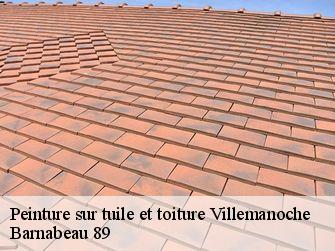 Peinture sur tuile et toiture  89140