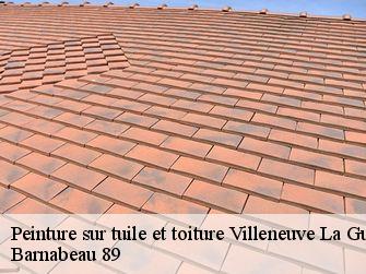 Peinture sur tuile et toiture  89340