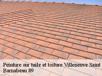 Peinture sur tuile et toiture  89230