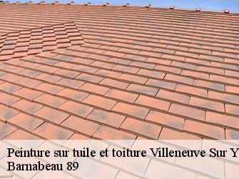 Peinture sur tuile et toiture 89500