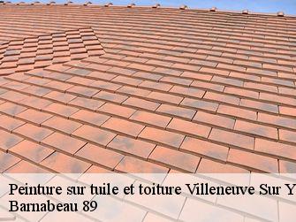 Peinture sur tuile et toiture  89500