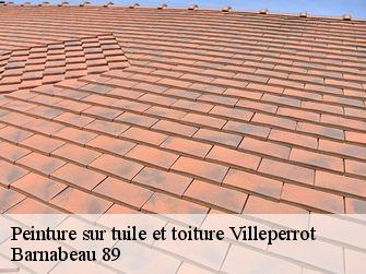 Peinture sur tuile et toiture 89140