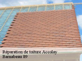 Réparation de toiture  accolay-89460 Barnabeau 89