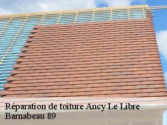 Réparation de toiture  ancy-le-libre-89160 Barnabeau 89