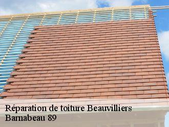 Réparation de toiture  beauvilliers-89630 Barnabeau 89