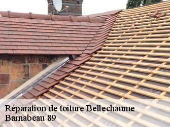 Réparation de toiture 89210