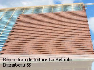 Réparation de toiture  la-belliole-89150 Barnabeau 89