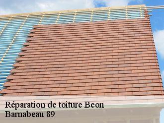 Réparation de toiture  beon-89410 Barnabeau 89