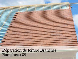 Réparation de toiture  branches-89113 Barnabeau 89