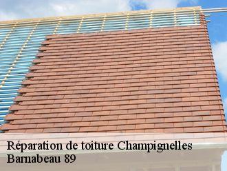 Réparation de toiture  champignelles-89350 Barnabeau 89
