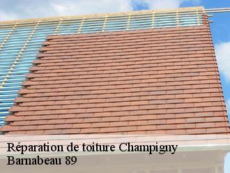 Réparation de toiture  champigny-89370 Barnabeau 89