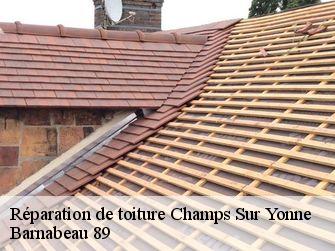 Réparation de toiture  89290