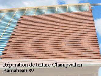 Réparation de toiture  champvallon-89710 Barnabeau 89