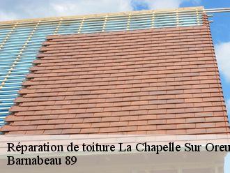 Réparation de toiture  la-chapelle-sur-oreuse-89260 Barnabeau 89