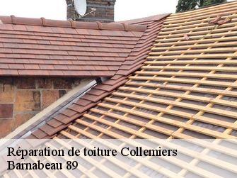 Réparation de toiture 89100