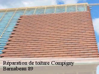 Réparation de toiture compigny-89140 Barnabeau 89