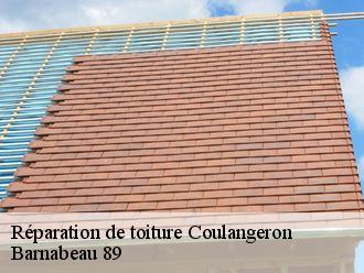 Réparation de toiture  coulangeron-89580 Barnabeau 89