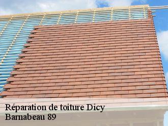 Réparation de toiture  dicy-89120 Barnabeau 89