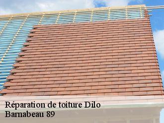 Réparation de toiture  dilo-89320 Barnabeau 89