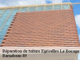 Réparation de toiture  egriselles-le-bocage-89500 Barnabeau 89
