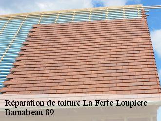 Réparation de toiture la-ferte-loupiere-89110 Barnabeau 89