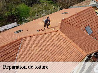 Réparation de toiture 89480