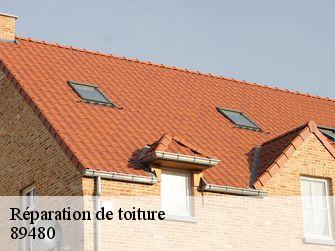 Réparation de toiture 89480