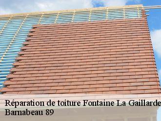 Réparation de toiture  fontaine-la-gaillarde-89100 Barnabeau 89