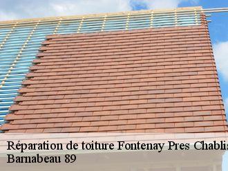 Réparation de toiture fontenay-pres-chablis-89800 Barnabeau 89