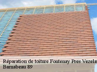 Réparation de toiture fontenay-pres-vezelay-89450 Barnabeau 89