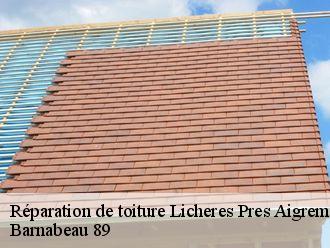 Réparation de toiture  licheres-pres-aigremont-89800 Barnabeau 89