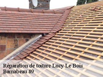 Réparation de toiture 89200