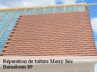 Réparation de toiture merry-sec-89560 Barnabeau 89