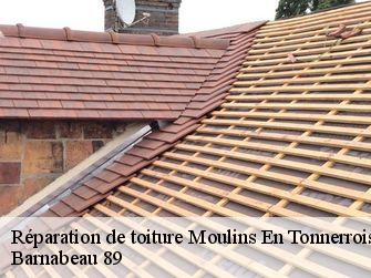Réparation de toiture 89310