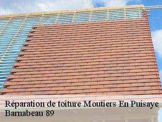 Réparation de toiture  moutiers-en-puisaye-89520 Barnabeau 89