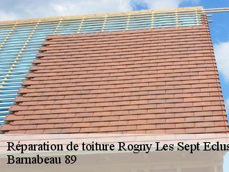 Réparation de toiture  rogny-les-sept-ecluses-89220 Barnabeau 89