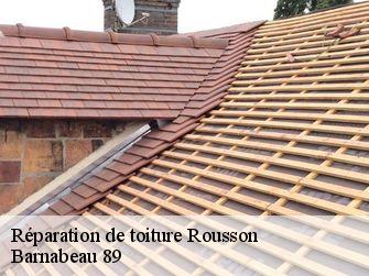 Réparation de toiture  89500