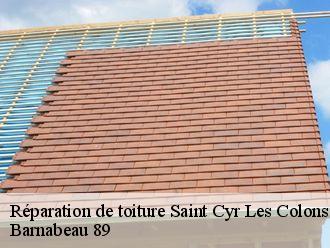 Réparation de toiture  saint-cyr-les-colons-89800 Barnabeau 89