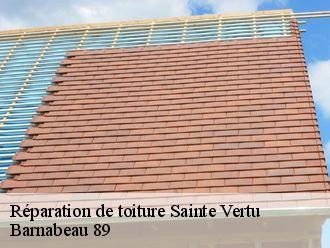 Réparation de toiture  sainte-vertu-89310 Barnabeau 89