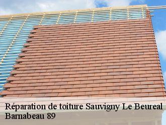 Réparation de toiture  sauvigny-le-beureal-89420 Barnabeau 89