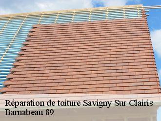 Réparation de toiture savigny-sur-clairis-89150 Barnabeau 89