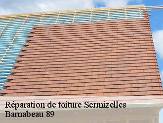 Réparation de toiture  sermizelles-89200 Barnabeau 89