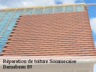 Réparation de toiture  sommecaise-89110 Barnabeau 89