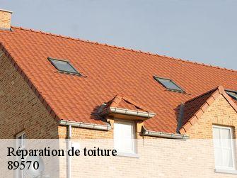 Réparation de toiture 89570