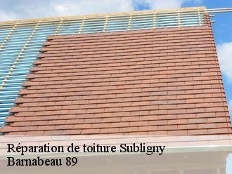 Réparation de toiture  subligny-89100 Barnabeau 89