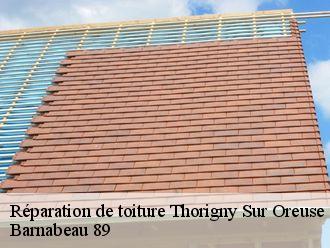 Réparation de toiture  thorigny-sur-oreuse-89260 Barnabeau 89
