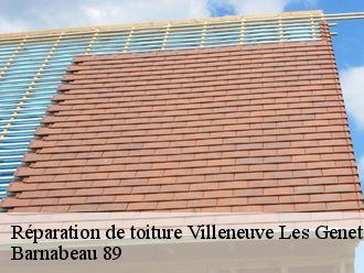 Réparation de toiture villeneuve-les-genets-89350 Barnabeau 89