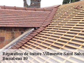 Réparation de toiture 89230