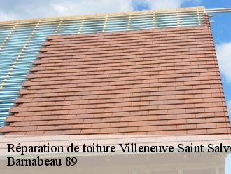 Réparation de toiture villeneuve-saint-salves-89230 Barnabeau 89